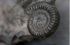 Read about interesting scientific discoveries at Springbok Casino such as a zeptosecond. We’re open for 24/7 online gambling!