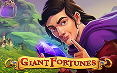 Giant Fortunes