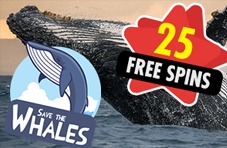 Enjoy Whalentine's Day